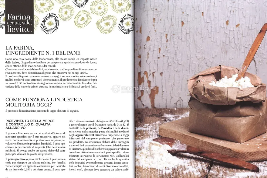 Il Grande Libro del Pane