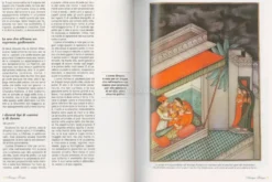 Il Kamasutra Illustrato