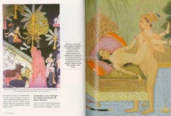 Il Kamasutra Illustrato