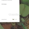 Il Lato Nascosto del Piatto