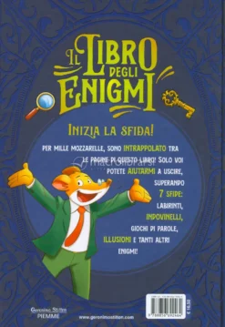 Il Libro degli Enigmi