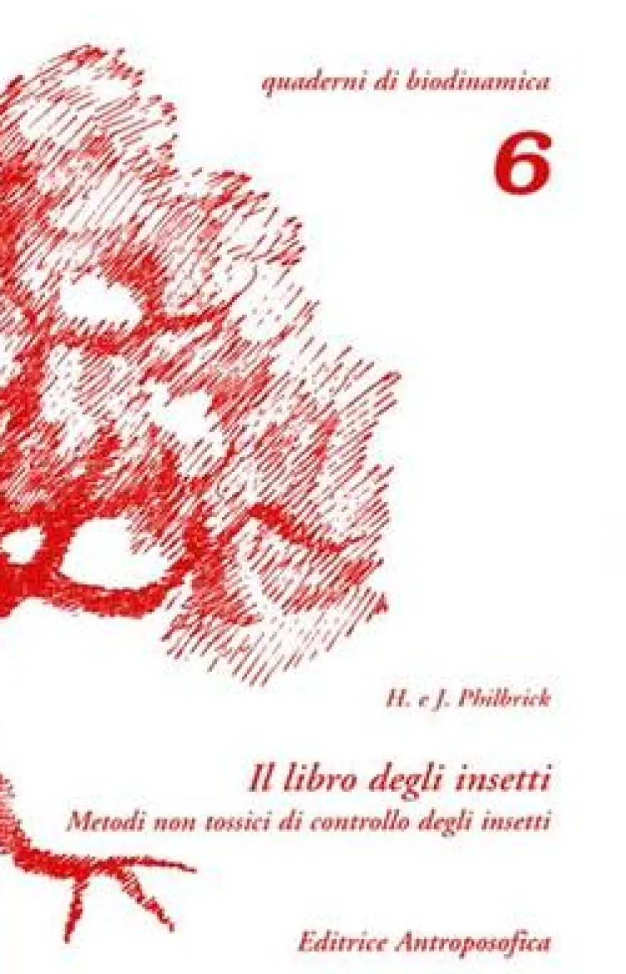 Il Libro degli Insetti