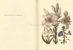 Il Libro dei Fiori