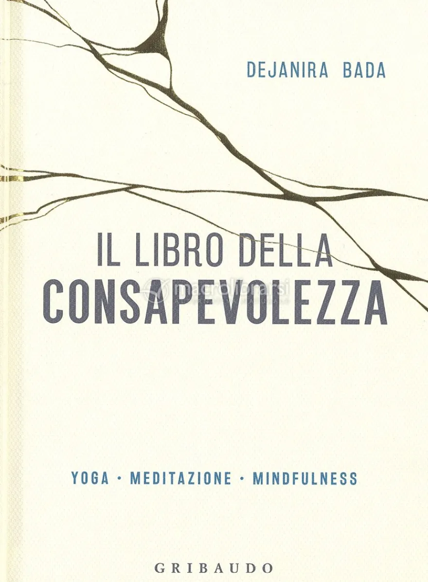 Il Libro della Consapevolezza