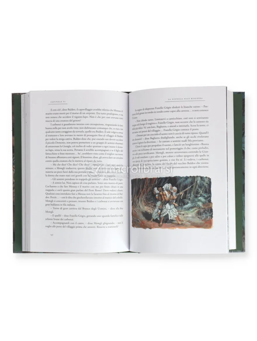 Il Libro della Giungla