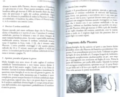 Il Libro della Placenta - Il Chakra Dimenticato