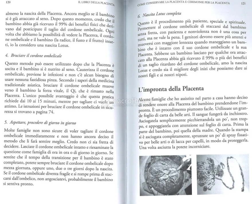 Il Libro della Placenta - Il Chakra Dimenticato