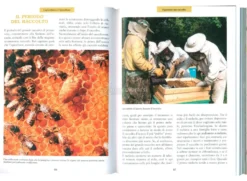 Il Libro del Miele