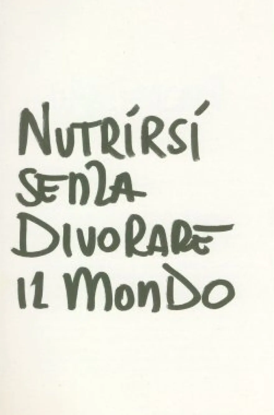 Il Libro Verde