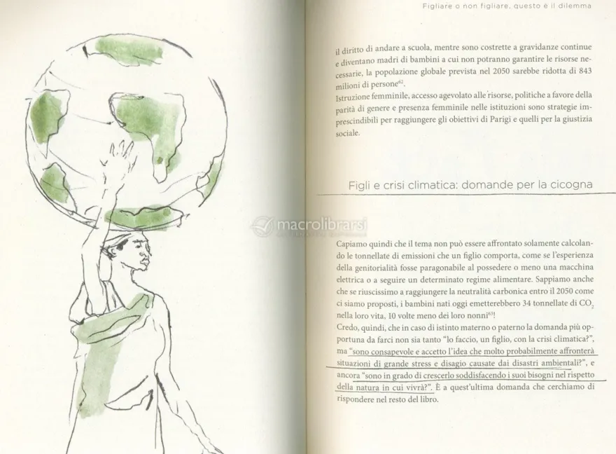 Il Libro Verde