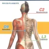 Il Linguaggio Emozionale del Corpo - Le Carte