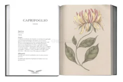 Il Linguaggio Segreto dei Fiori