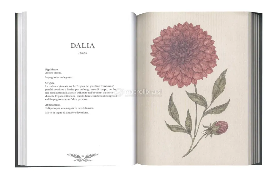 Il Linguaggio Segreto dei Fiori