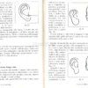 Il Linguaggio Segreto del Volto