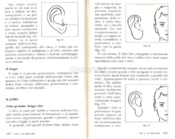 Il Linguaggio Segreto del Volto