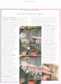 Il Maestro Giardiniere