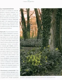 Il Maestro Giardiniere