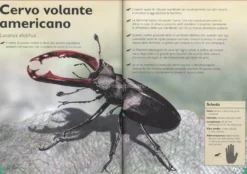 Il Magnifico Libro degli Insetti e dei Ragni