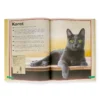 Il Magnifico Libro dei Gatti