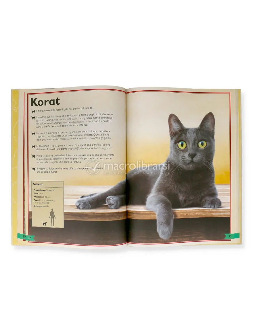 Il Magnifico Libro dei Gatti