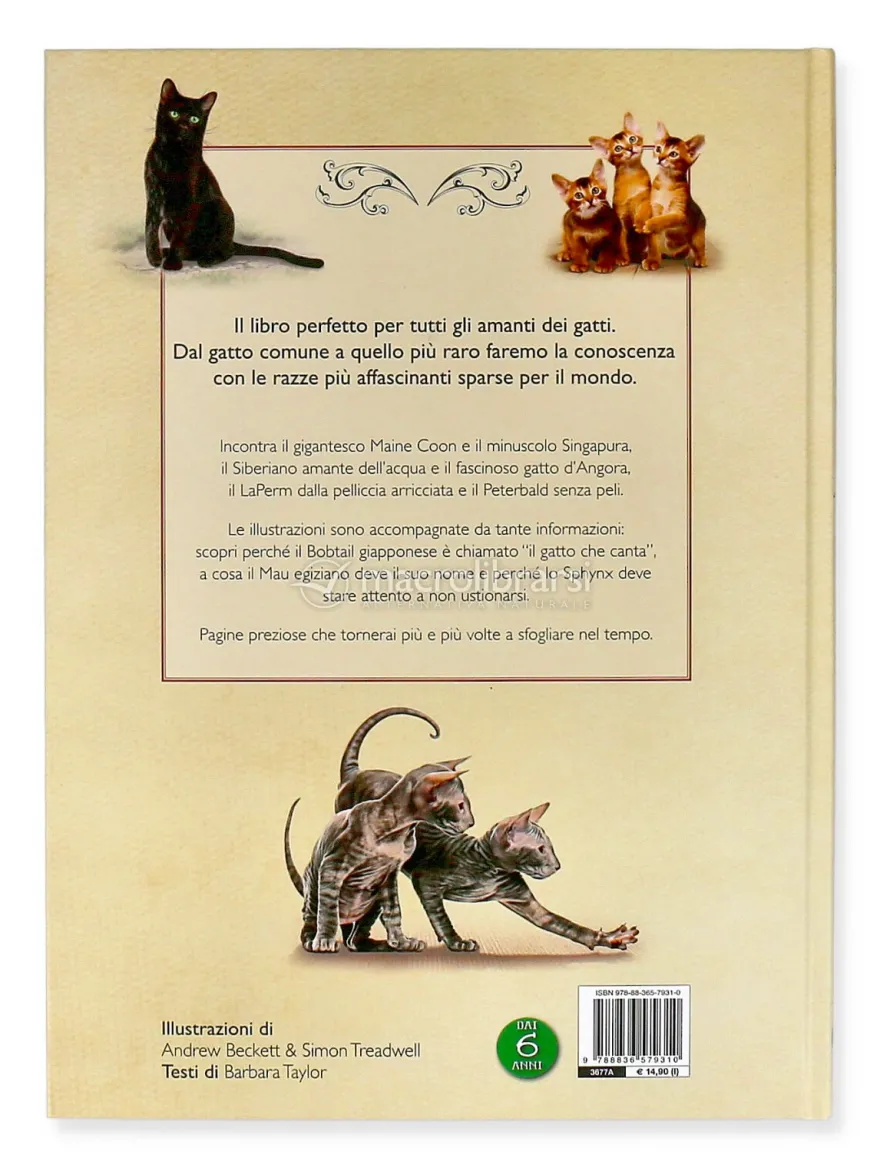 Il Magnifico Libro dei Gatti