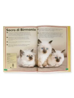 Il Magnifico Libro dei Gatti
