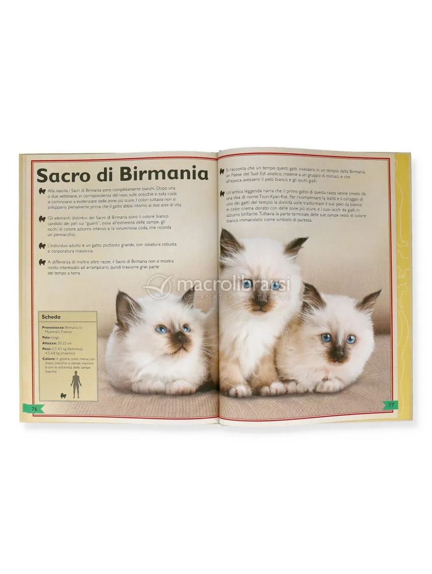 Il Magnifico Libro dei Gatti