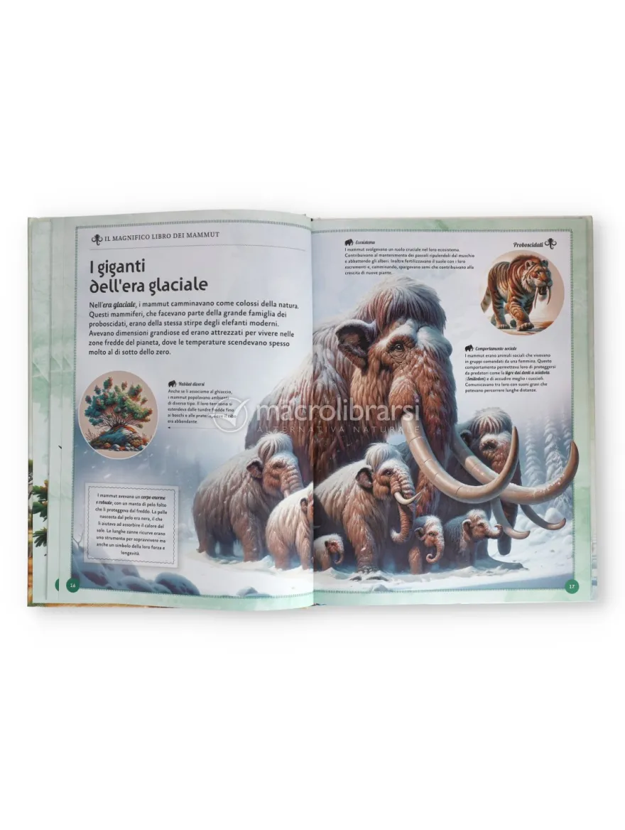 Il Magnifico Libro dei Mammut