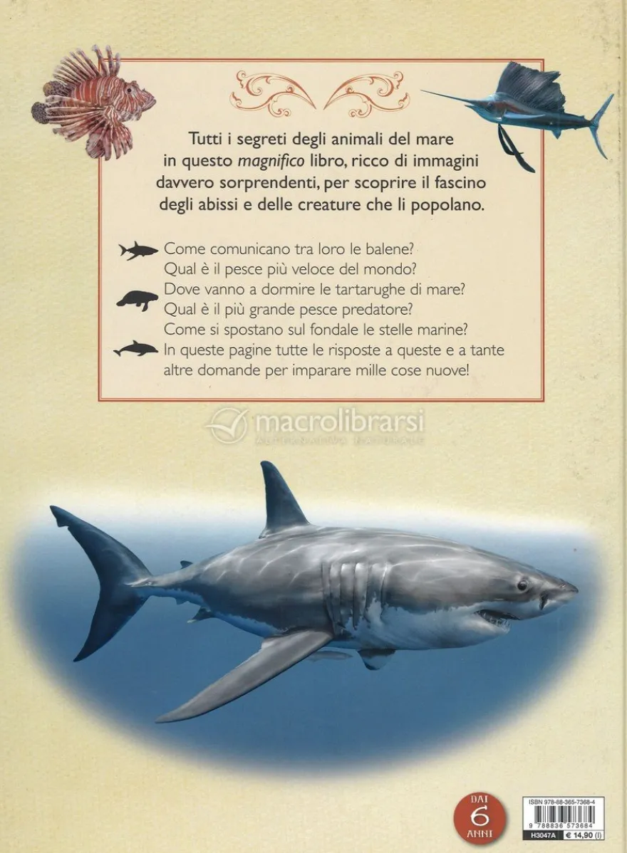 Il Magnifico Libro del Mare