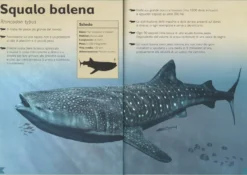 Il Magnifico Libro del Mare