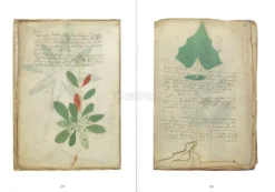 Il Manoscritto Voynich