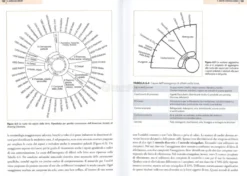 Il Manuale del Birraio