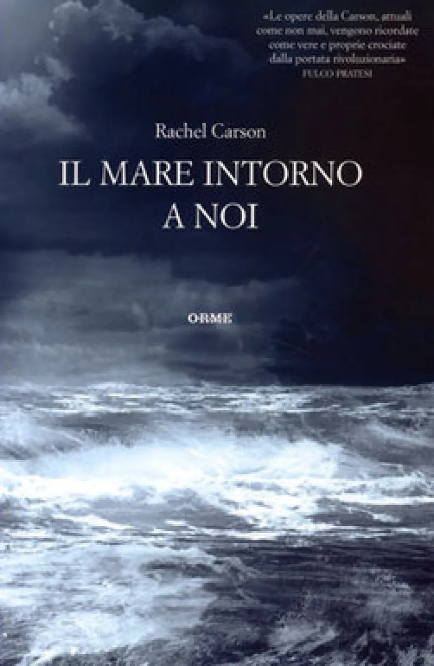Il Mare Intorno a Noi