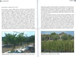 Il Melograno