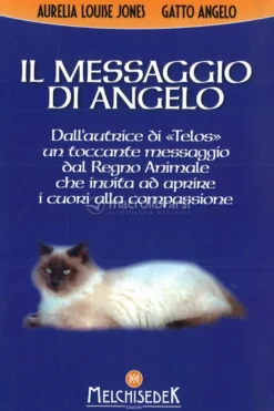 Il Messaggio di Angelo