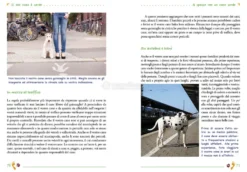 Il Mio Cane è Sordo