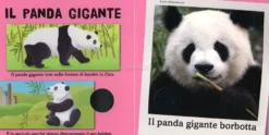 Il Mio Cofanetto degli Animali da Salvare