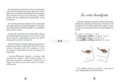 Il Mio Cofanetto Montessori dei Dinosauri