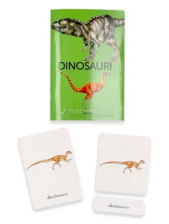 Il Mio Cofanetto Montessori dei Dinosauri
