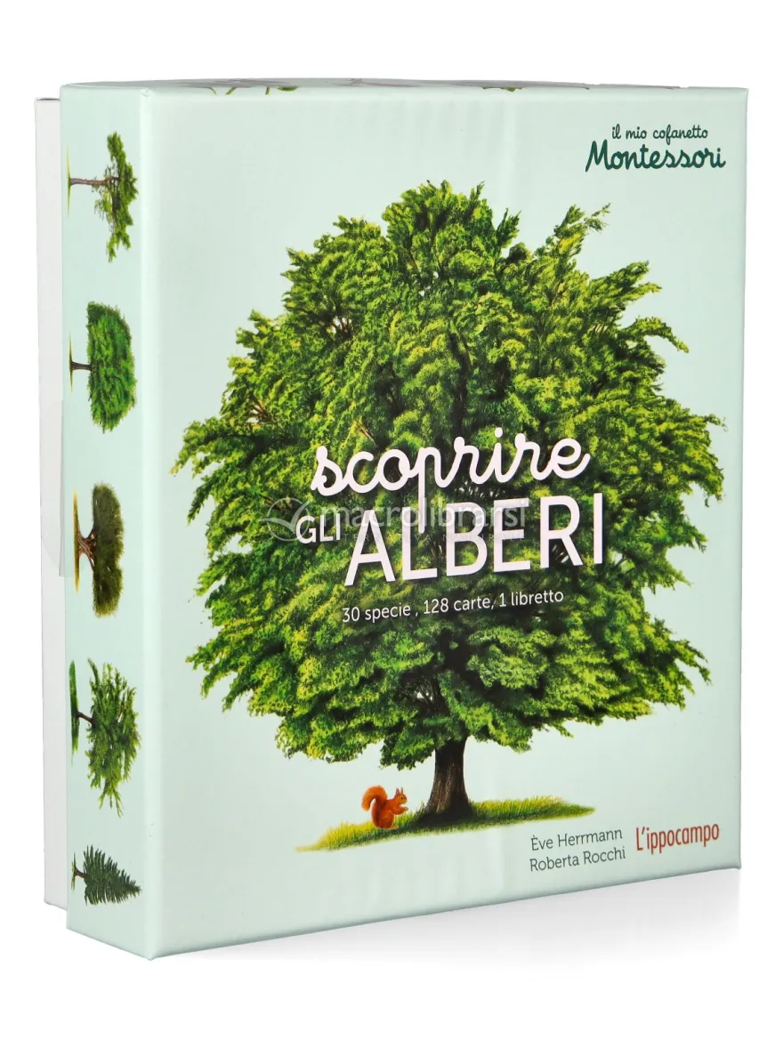 Il Mio Cofanetto Montessori - Scoprire gli Alberi