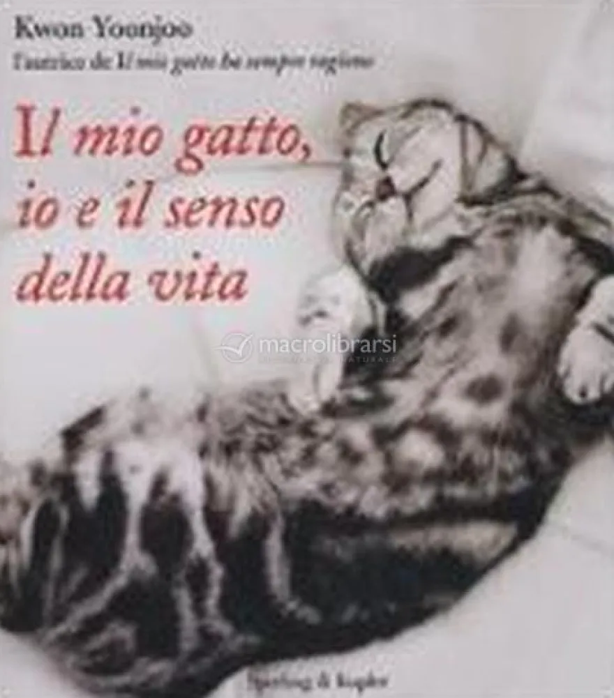 Il Mio Gatto, Io e il Senso della Vita