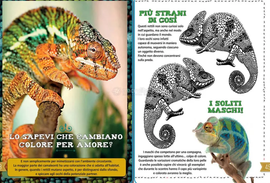 Il Mio Libro della Natura