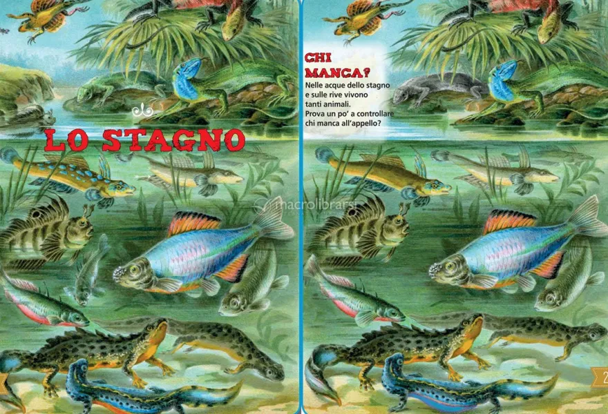 Il Mio Libro della Natura