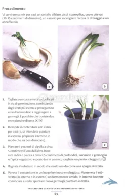 Il Mio Orto Zero Waste