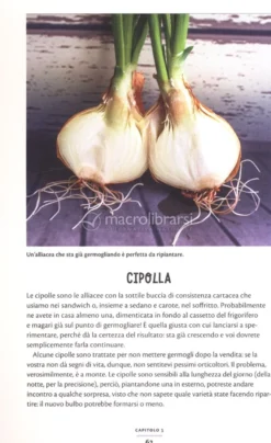 Il Mio Orto Zero Waste