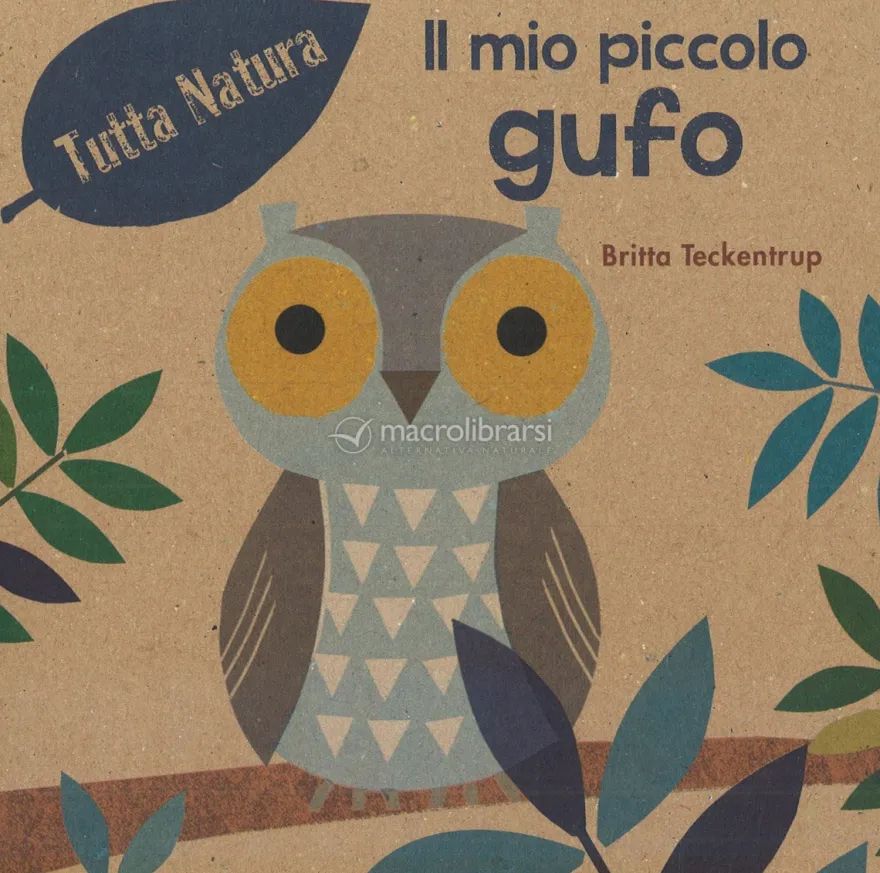 Il Mio Piccolo Gufo