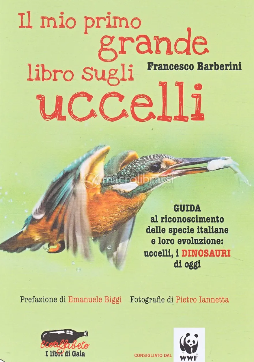 Il Mio Primo Grande Libro sugli Uccelli