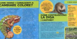 Il Mio Primo Libro dei Come