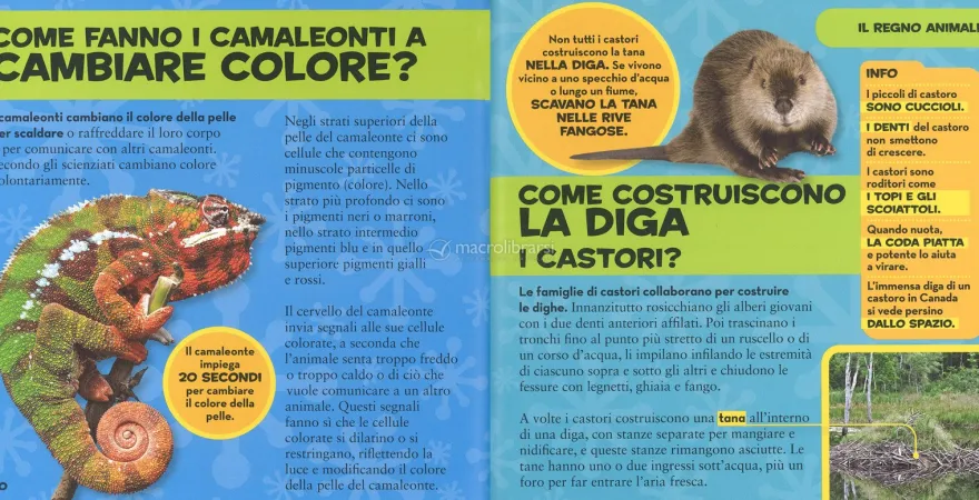 Il Mio Primo Libro dei Come