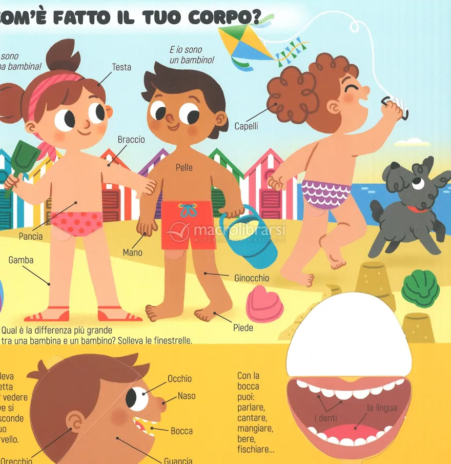 Il Mio Primo Libro del Corpo Umano